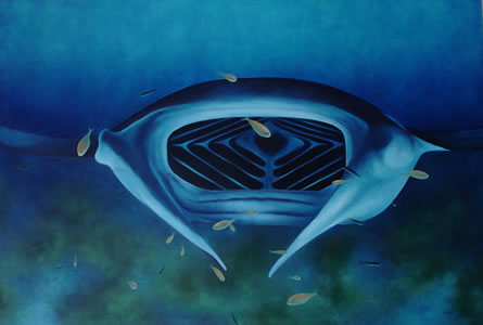 Manta ray canvas oil 89 x 130 cm